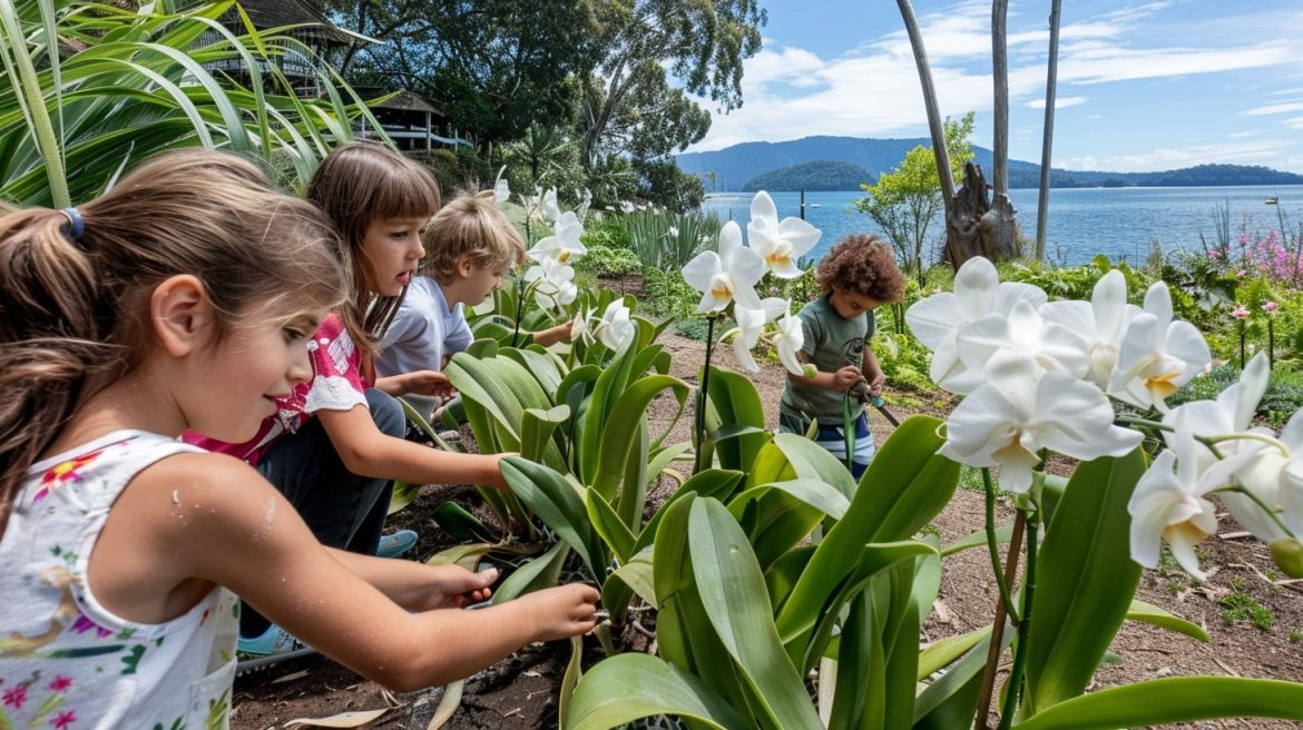 島の学校で胡蝶蘭を育てる：子供たちと自然をつなぐ取り組み